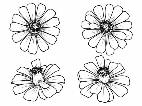 Download Hand Drawing Sketch Flower Line Art - Premium Resources