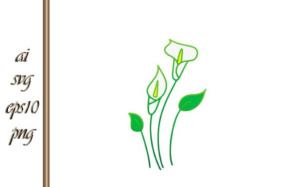 Download Doodle Calla Lilies Sketch Flower Vector - Premium Resources