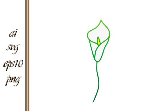 Download Doodle Calla Lilies Sketch Flower Vector - Premium Bundle