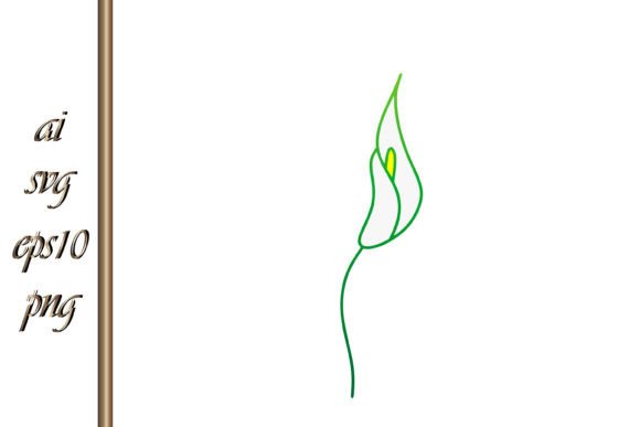 Download Doodle Calla Lilies Icon Sketch Flower - Premium Bundle