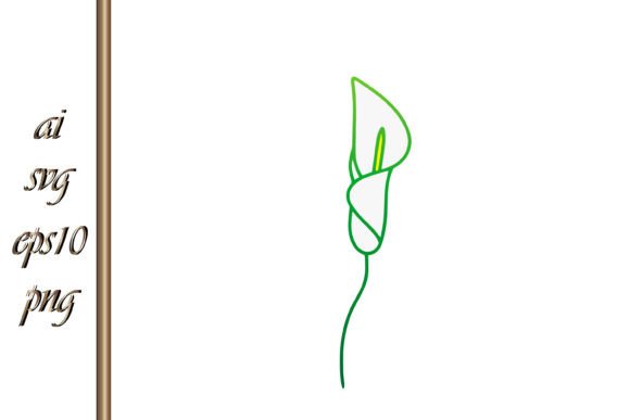 Download Doodle Calla Lilies Sketch Flower Vector - Premium Bundle
