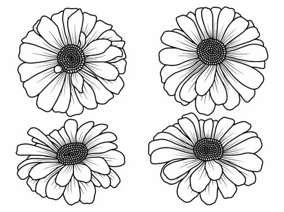 Download Hand Drawing Sketch Flower Line Art - Premium Resources