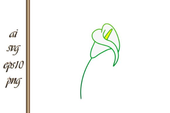 Download Doodle Calla Lilies Icon Sketch Flower - Premium Resources